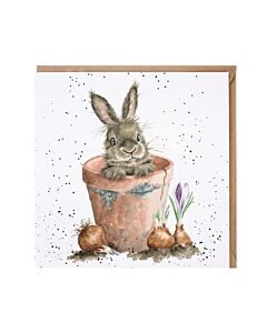 Wrendale Designs "Foraging Foray" Woodland Animal Birthday Card